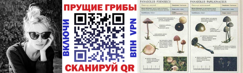 цены   Кимовск  Галлюциногенные грибы мухоморы 